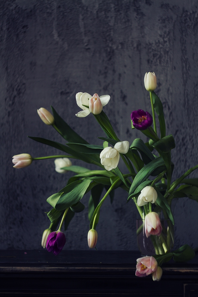 photo "***" tags: , Russia, canon, flowers, stillife, tulips, букет, гелиос, капитонова, красиво, нежность, тюльпаны, фото, фотография