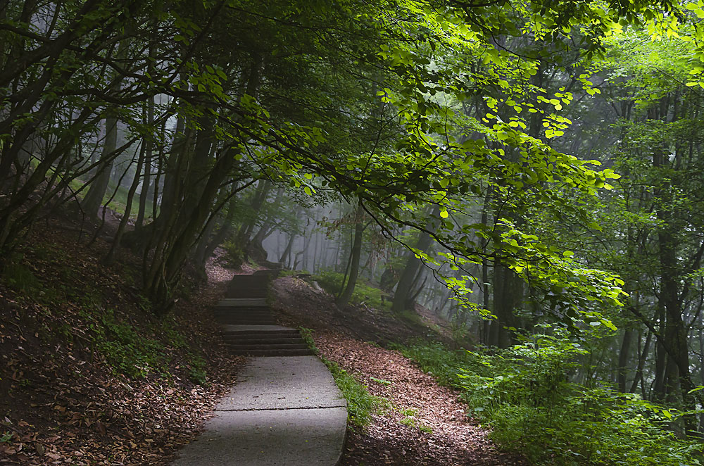 photo "***" tags: landscape, 