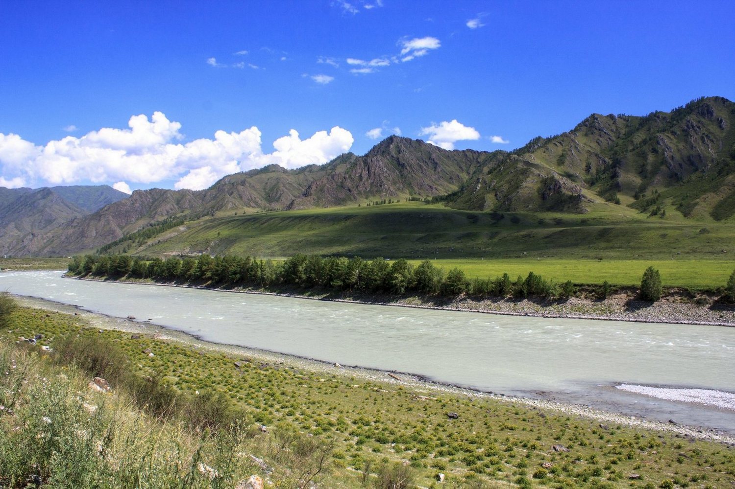 photo "Altay" tags: landscape, nature, travel, altay, katun, river, summer