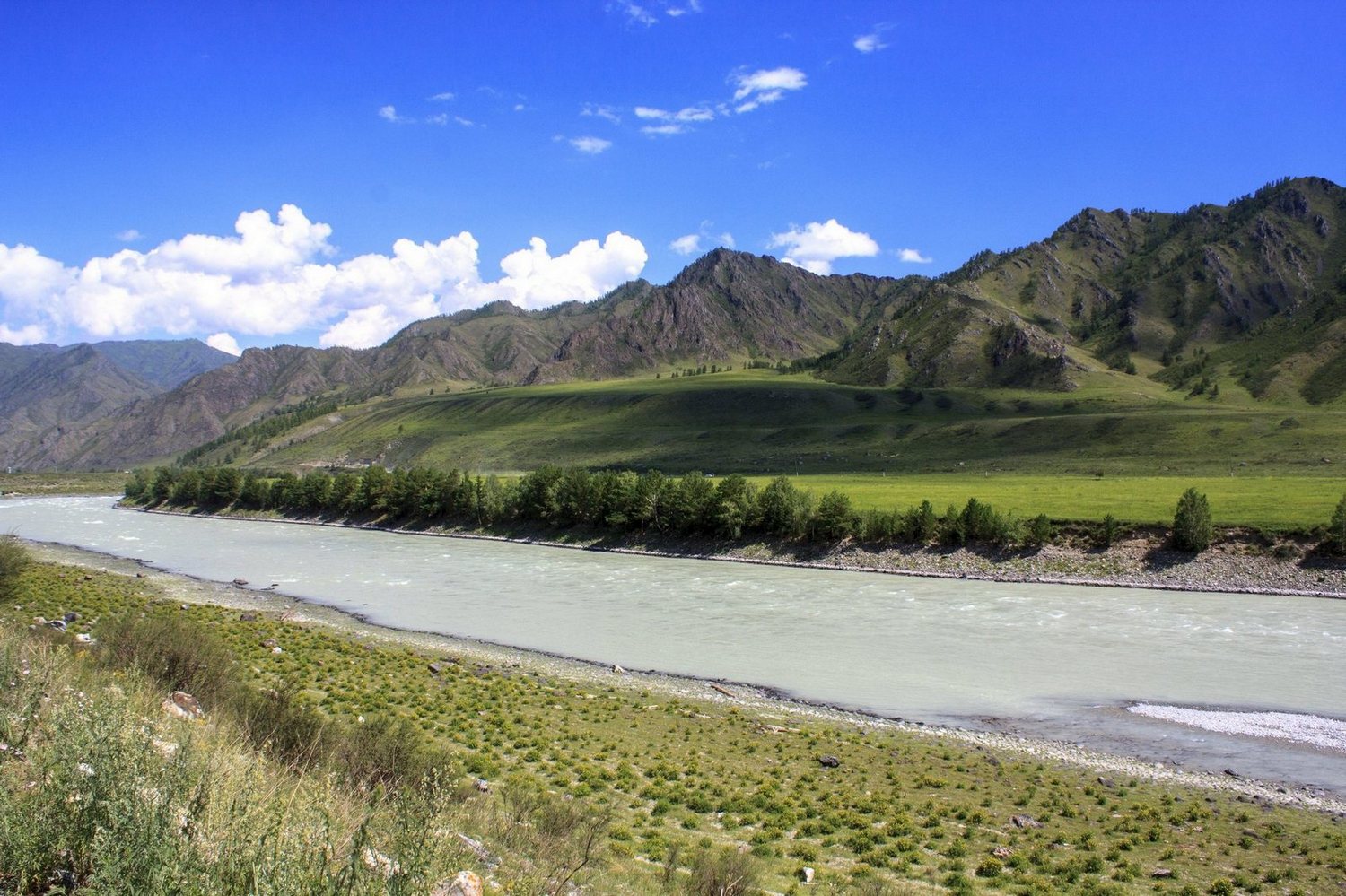 фото "Altay" метки: пейзаж, природа, путешествия, altay, katun, summer, река