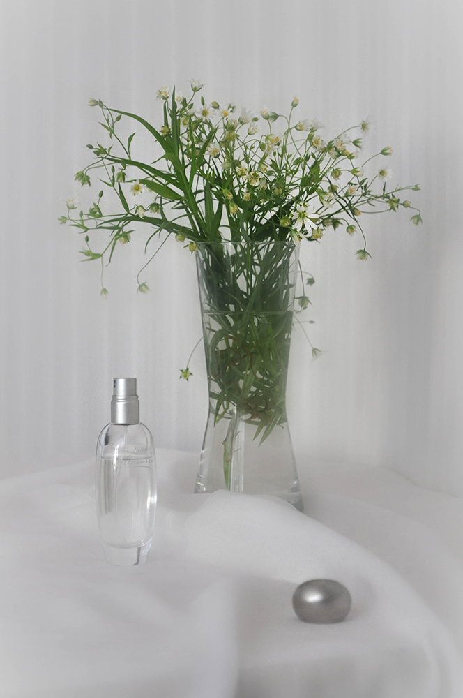 photo "***" tags: still life, 