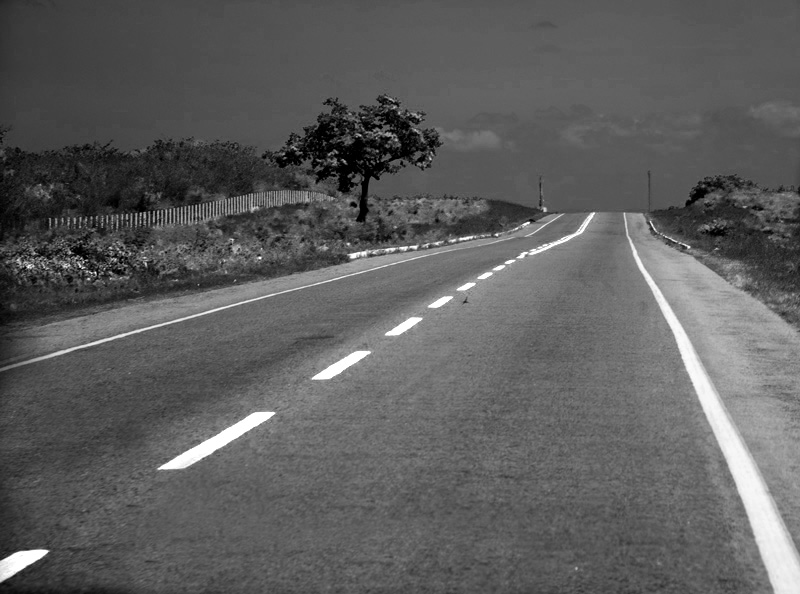 photo "MY WAY" tags: landscape, black&white, travel, Brasil northeast, Ceará, South America, road to Jericoacoara.