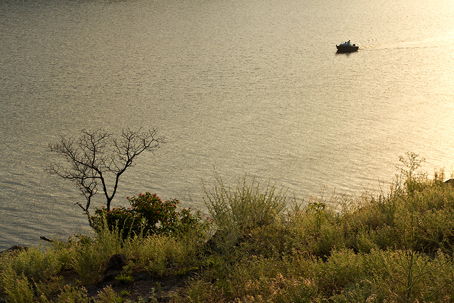 photo "***" tags: landscape, Dnieper, Ukraine, boat, coast, sunset, tree, Запорожье