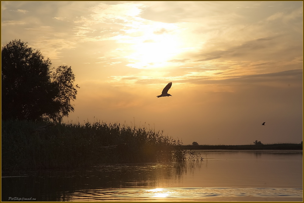 photo "***" tags: nature, landscape, 