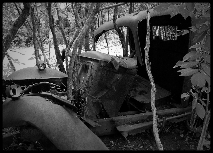 photo "***" tags: black&white, 