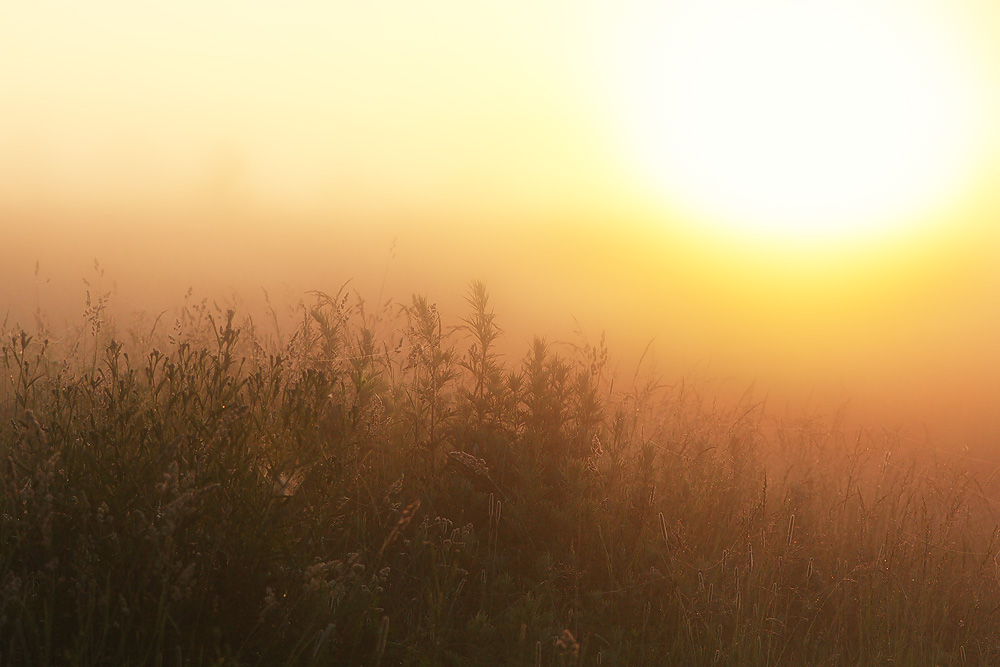 photo "***" tags: landscape, travel, nature, 