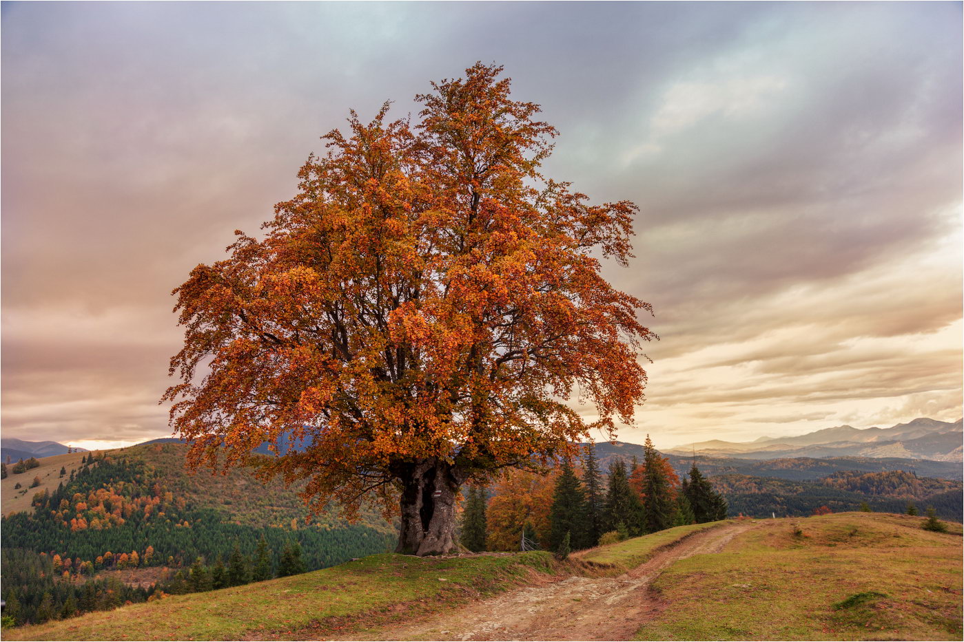 photo "***" tags: landscape, travel, nature, autumn, clouds, mountains, sky, sunset, tree, Карпаты, закарпатье, склоны