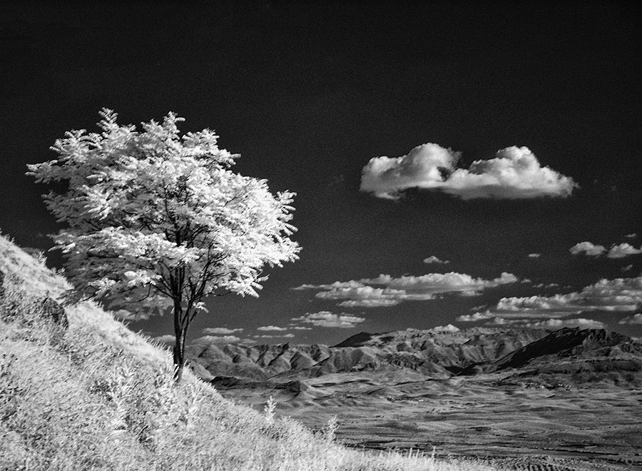 photo "Landscape in Baeza-Andalusia" tags: landscape, black&white, 
