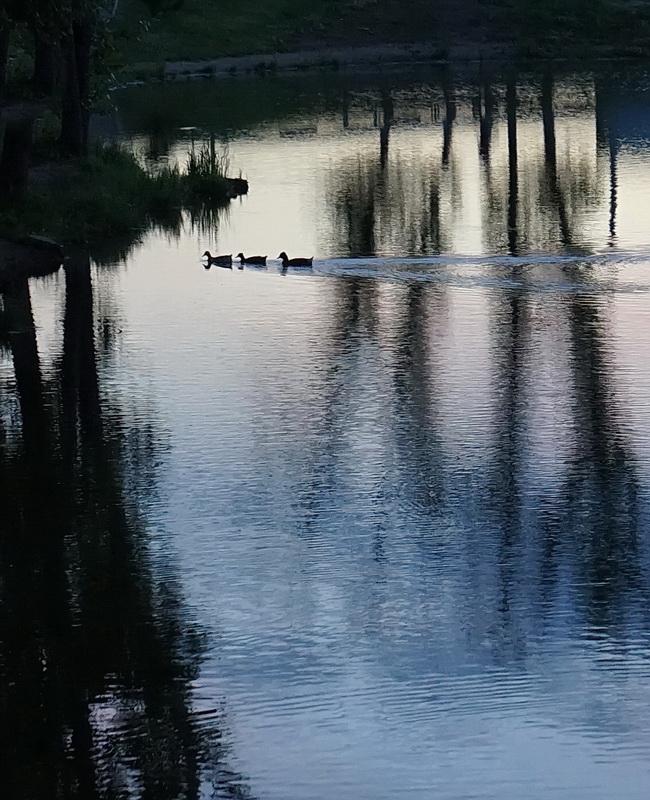 photo "***" tags: city, 