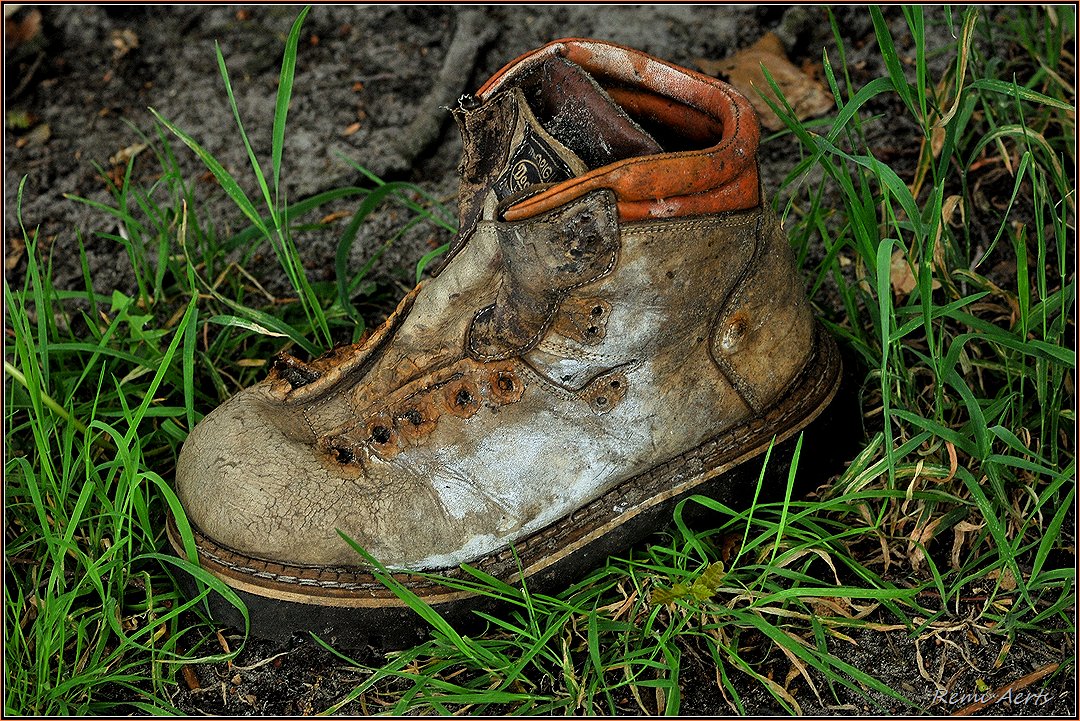 photo "my old shoe" tags: still life, humor, reporting, 