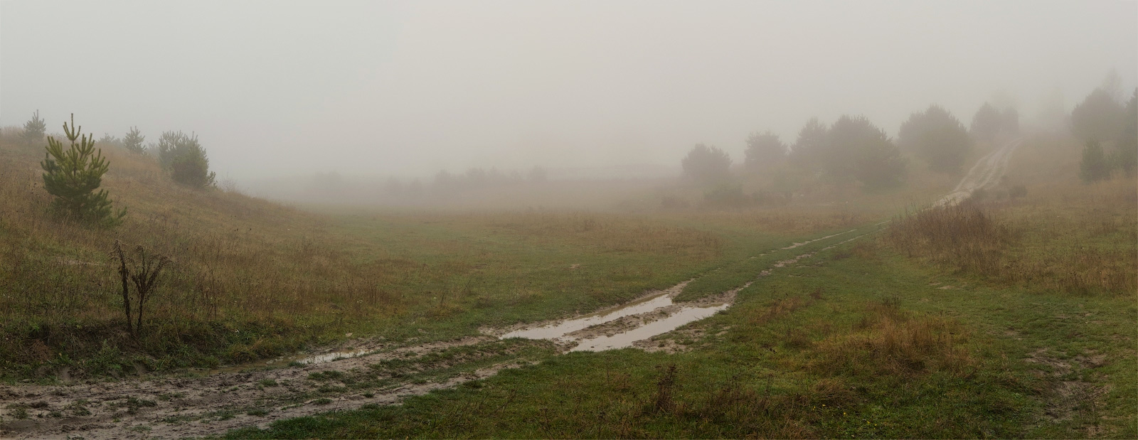 photo "***" tags: landscape, nature, panoramic, autumn, fog, grass, rain, road