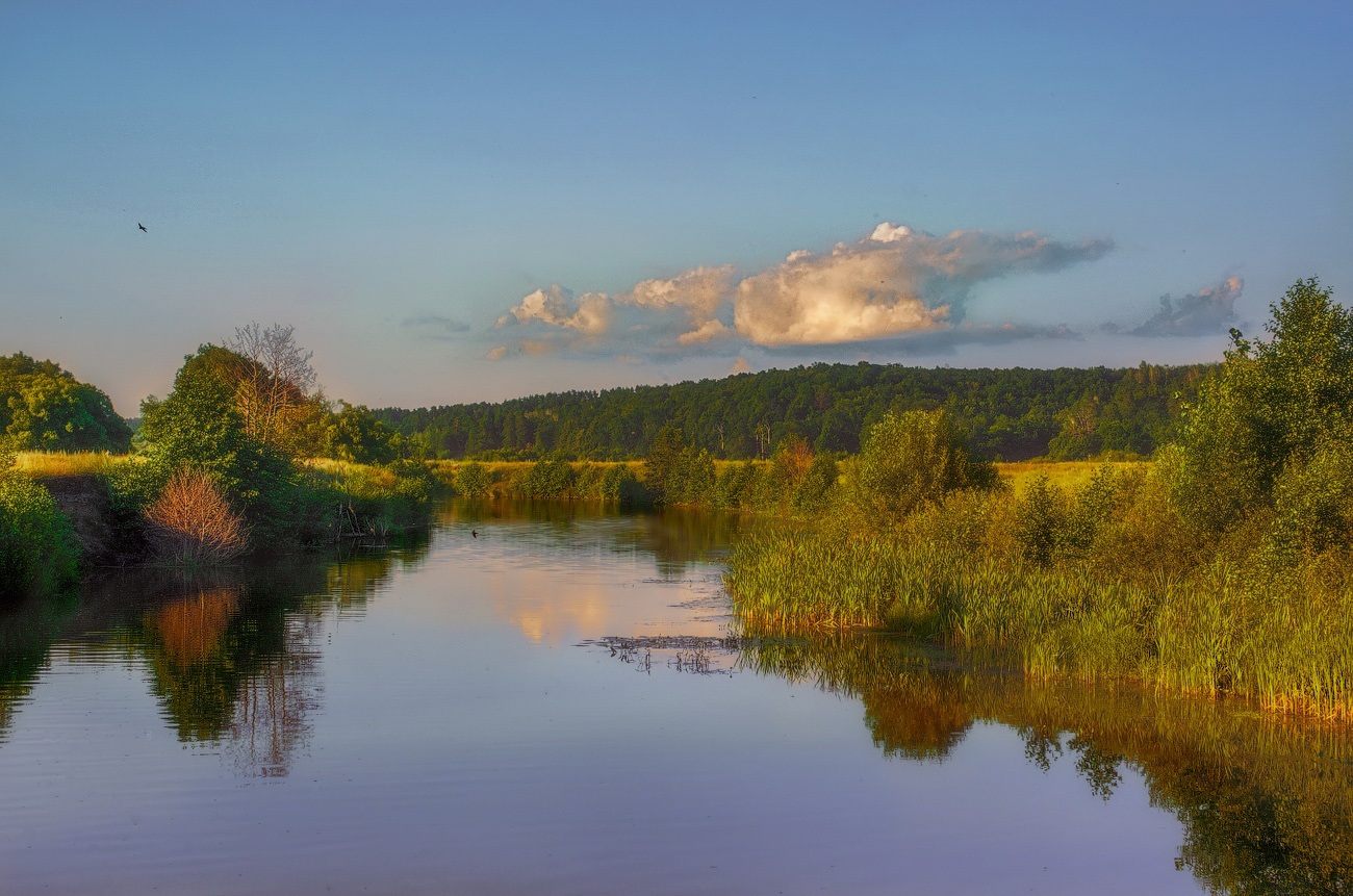 photo "***" tags: landscape, nature, forest, morning, river, spring, water, май