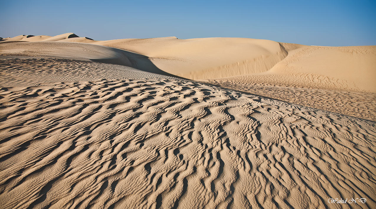 photo "Textures of Winds" tags: landscape, travel, nature, Africa, Dseert