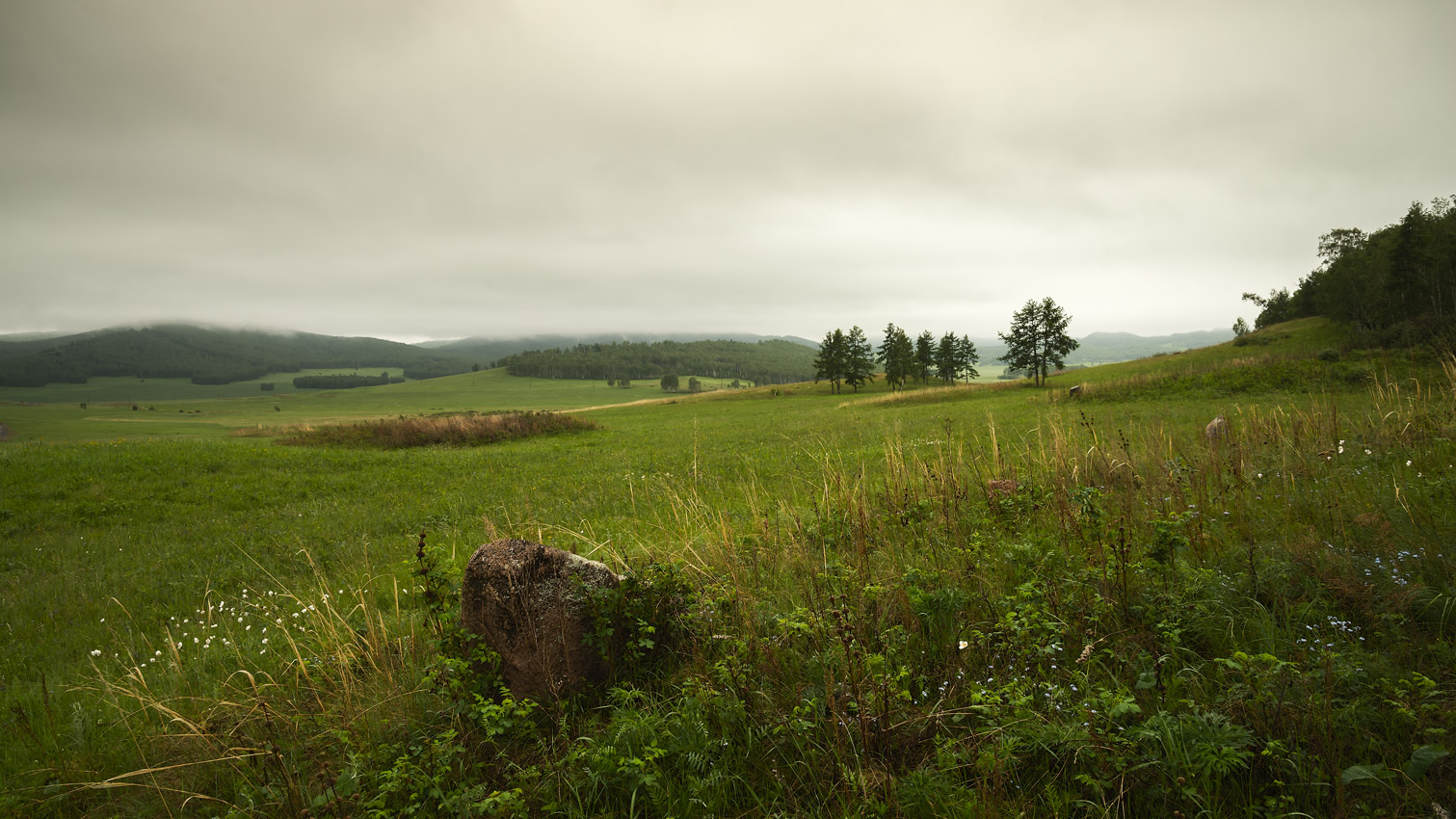 photo "***" tags: , 