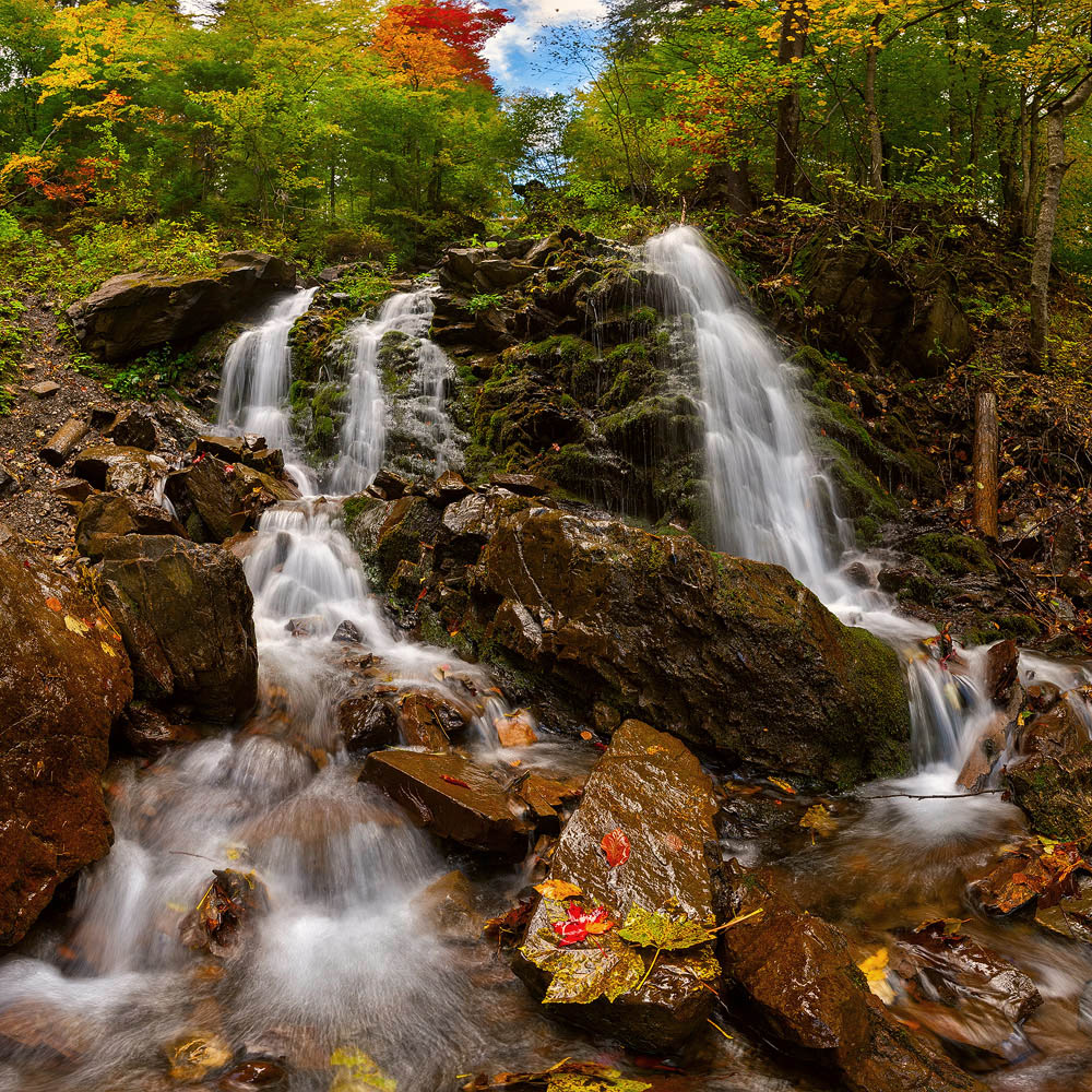 photo "***" tags: landscape, nature, panoramic, autumn, forest, mountains, river, water, Карпаты