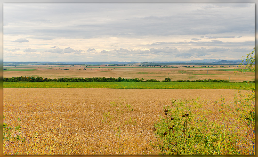 photo "***" tags: landscape, field, просторы