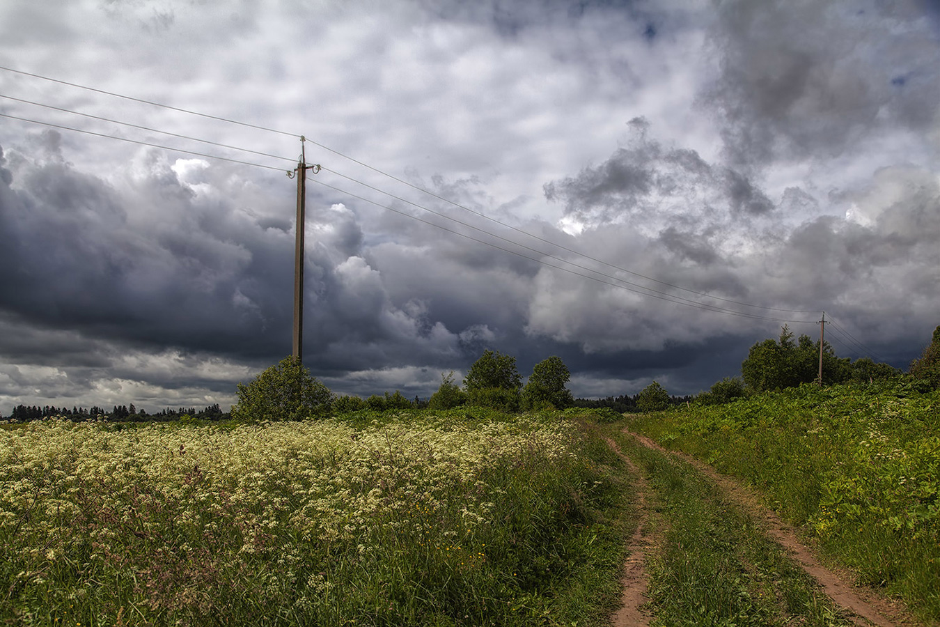 photo "***" tags: landscape, nature, clouds, field, flowers, road, sky, summer