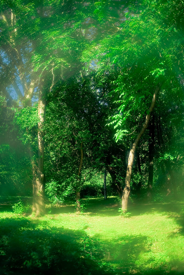 photo "***" tags: landscape, 
