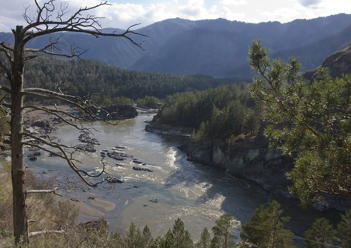 photo "river Katun" tags: landscape, travel, 