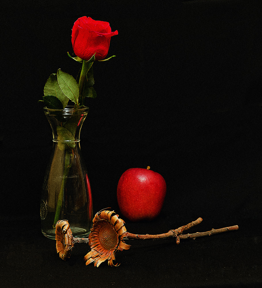 photo "***" tags: still life, flowers, розы