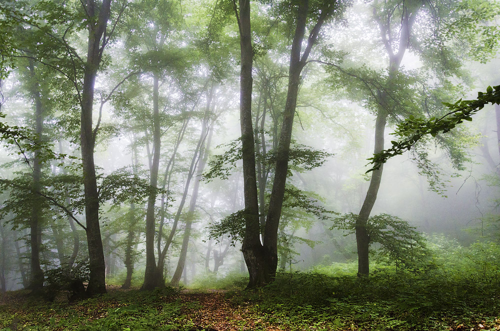фото "***" метки: пейзаж, 