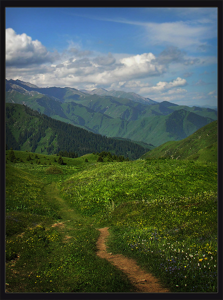 photo "***" tags: landscape, nature, Asia, mountains, summer