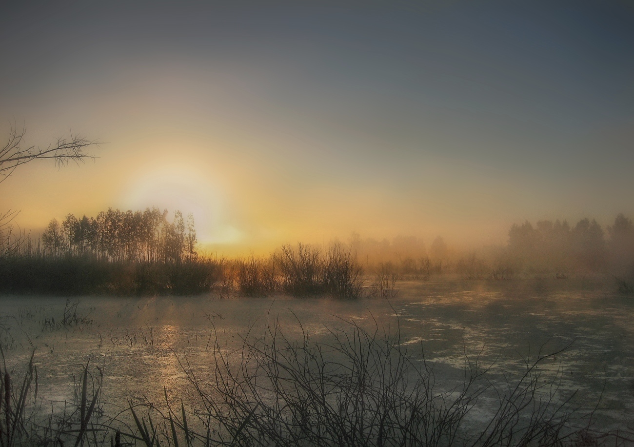 photo "***" tags: landscape, nature, fog, morning, sun, болота
