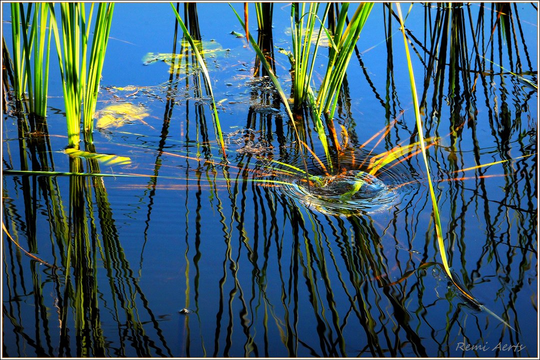 фото "***" метки: пейзаж, природа, 