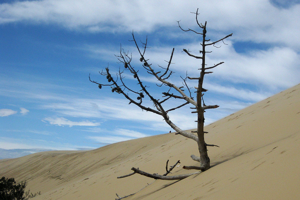 photo "Dune de Pilat" tags: landscape, 