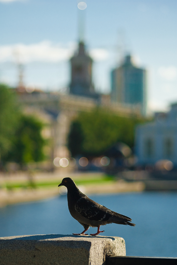 photo "***" tags: landscape, 