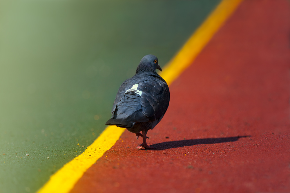 фото "..." метки: природа, 