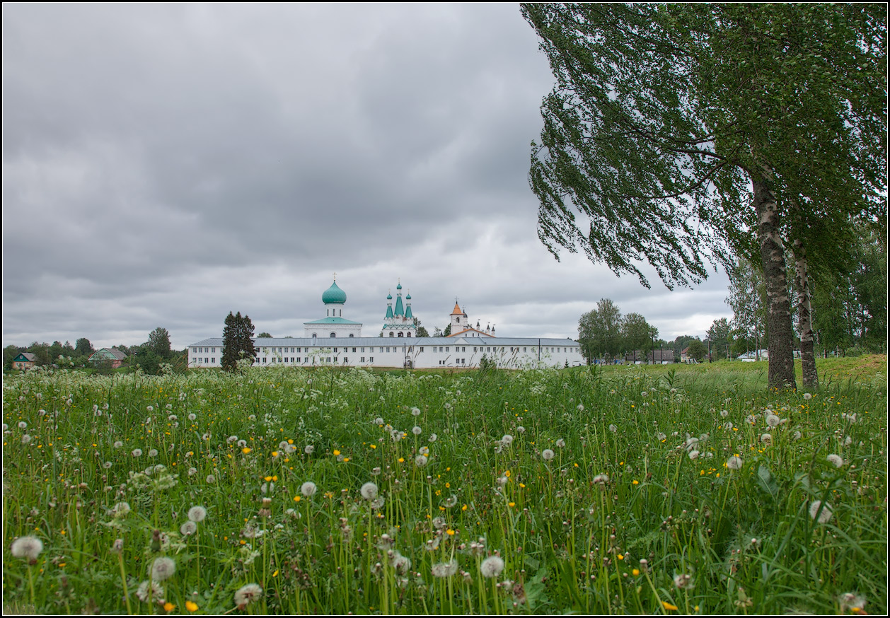 photo "in dandelions" tags: landscape, nature, architecture, 