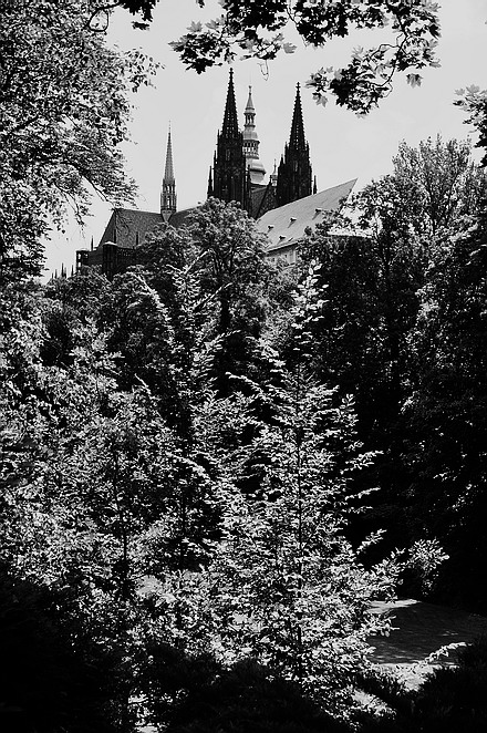 photo "Kафедра́льный и деревья" tags: black&white, Prag, Prague, Praha