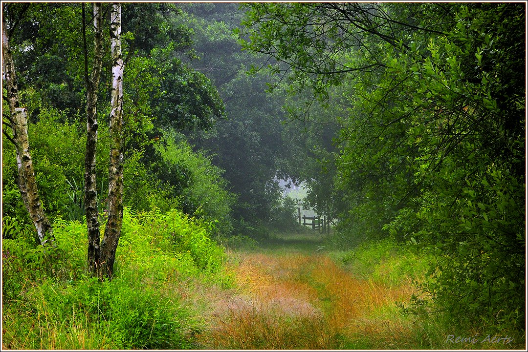 фото "***" метки: пейзаж, природа, 