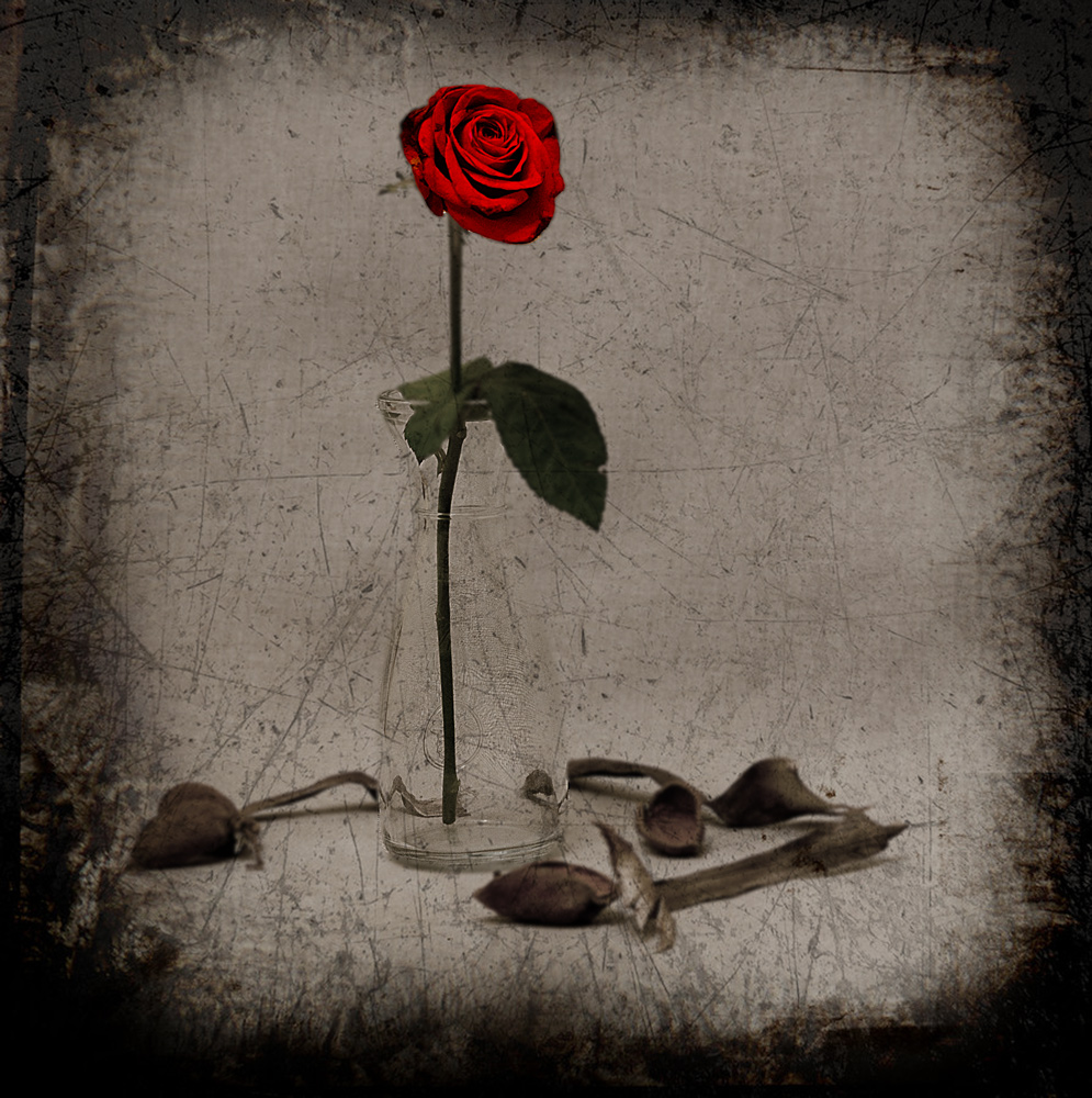 фото "Одиночество" метки: натюрморт, графин, роза