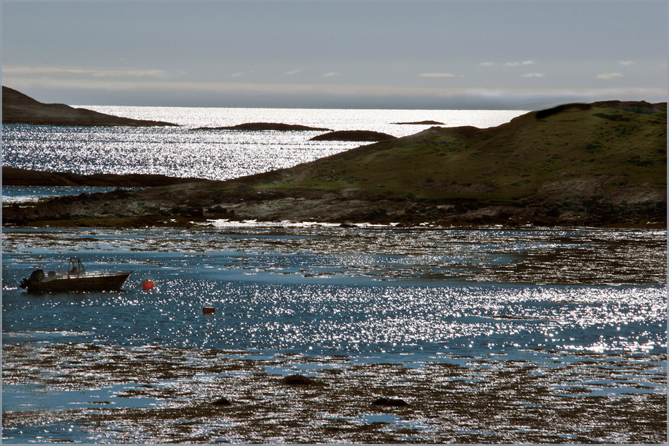 фото "Arctic summer,,," метки: пейзаж, Europe, summer, вода