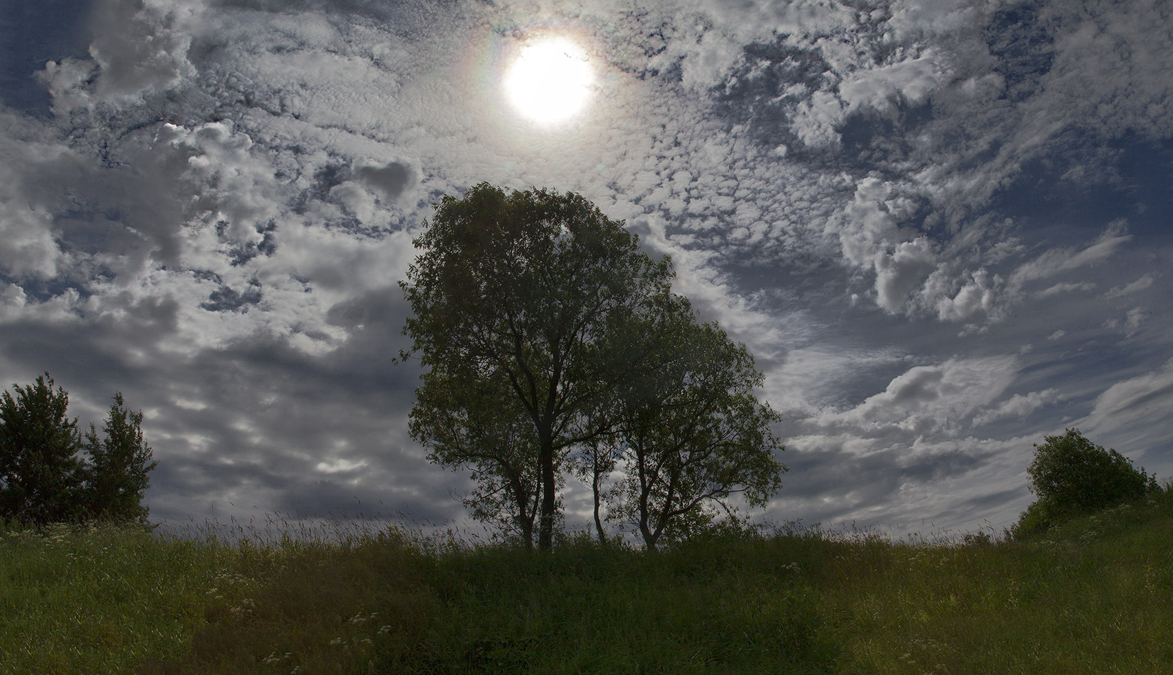 photo "***" tags: landscape, nature, panoramic, sky, summer, sun, tree