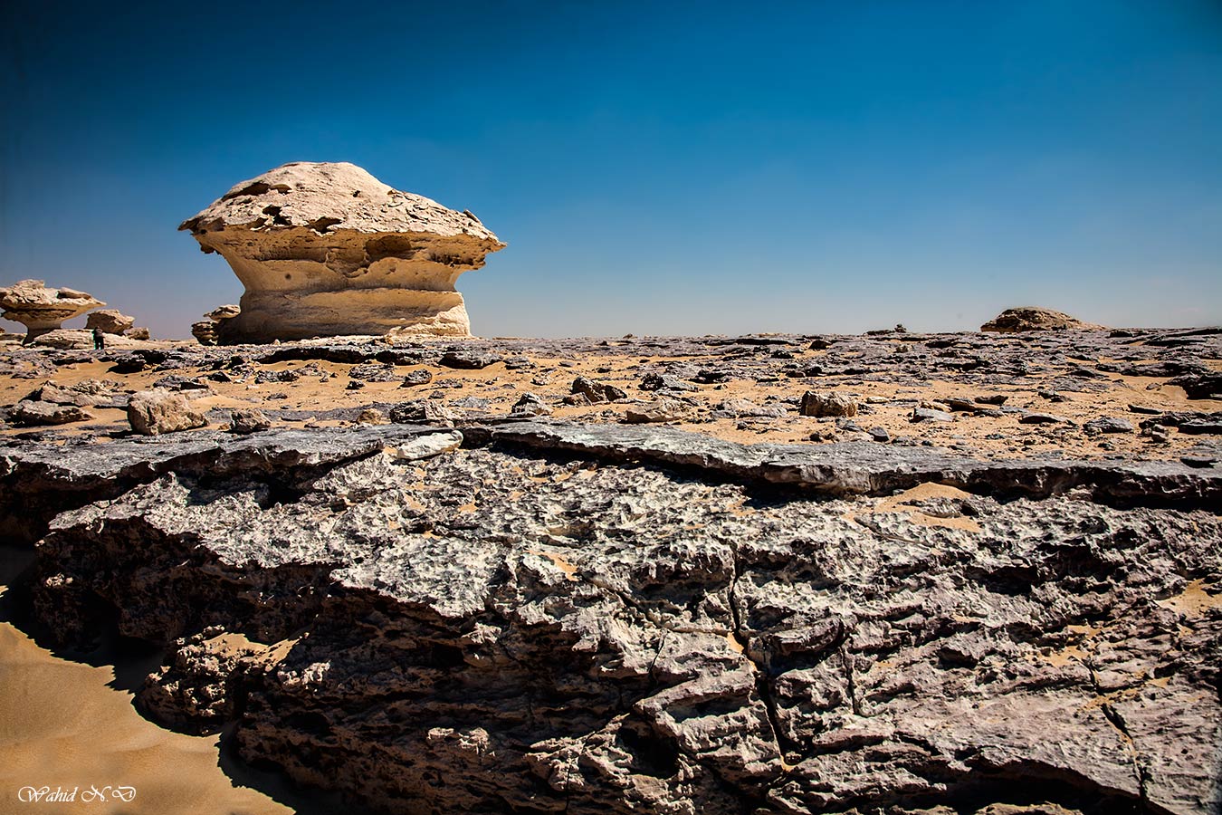 фото "Planet Earth 1" метки: пейзаж, путешествия, природа, desert, Африка