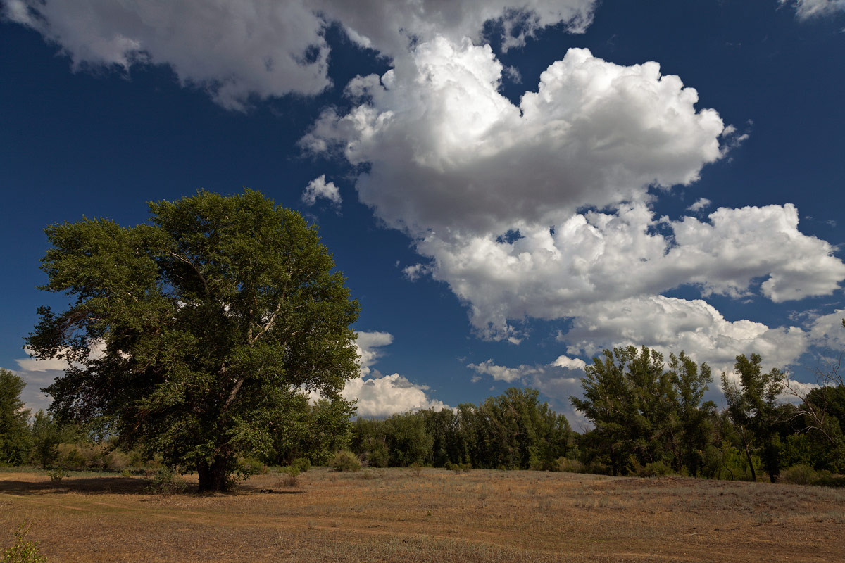 photo "***" tags: landscape, nature, 