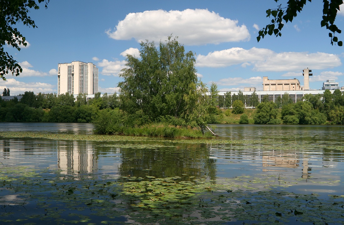 фото "Необитаемый остров" метки: пейзаж, природа, Москва-река