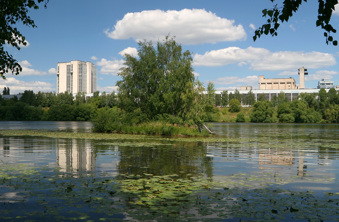 photo "Desert island" tags: landscape, nature, Москва-река