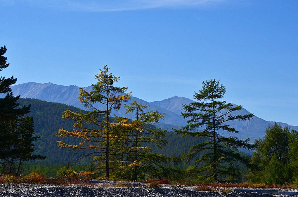 photo "***" tags: landscape, coast, mountains, Байкал. осень, лиственница