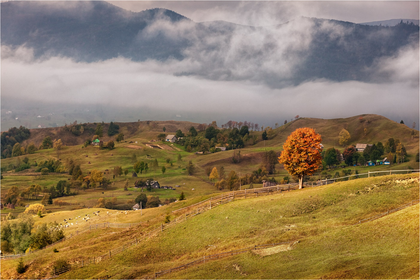 photo "***" tags: landscape, nature, travel, autumn, clouds, fog, morning, mountains, sky, tree, Карпаты, Ясиня, домик, закарпатье, склоны