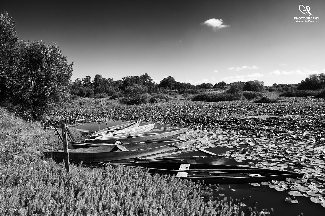 фото "Barcos" метки: , 