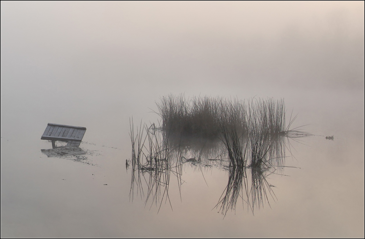 photo "fog/" tags: nature, landscape, 