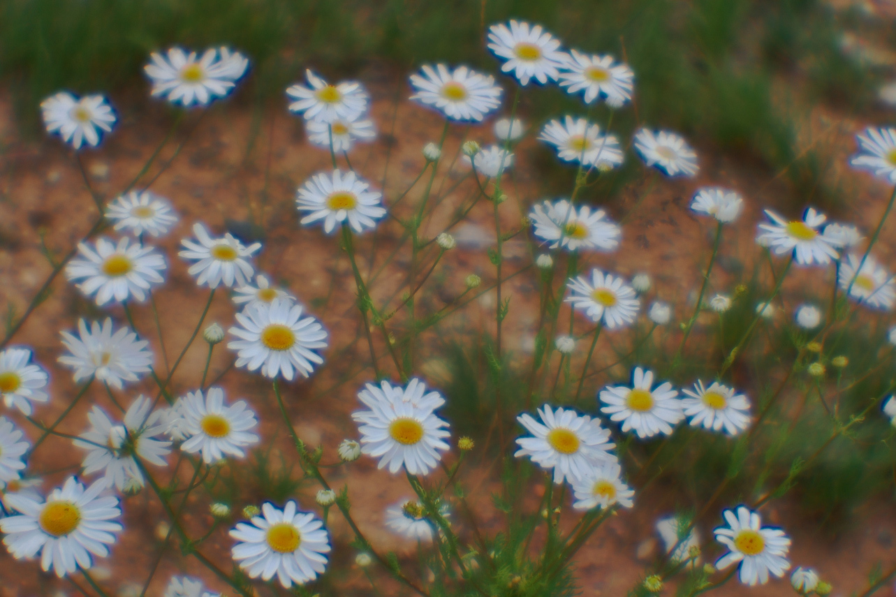 фото "***" метки: природа, 