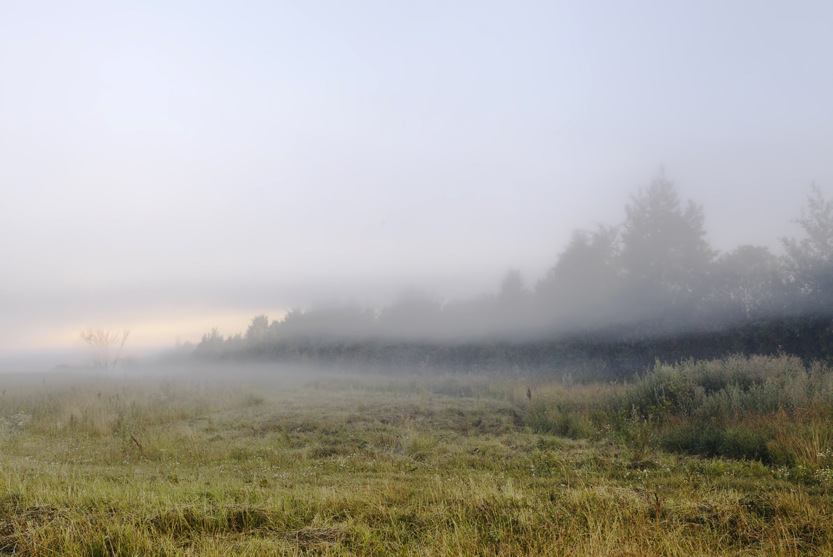 photo "***" tags: landscape, nature, fog, morning, sunrise