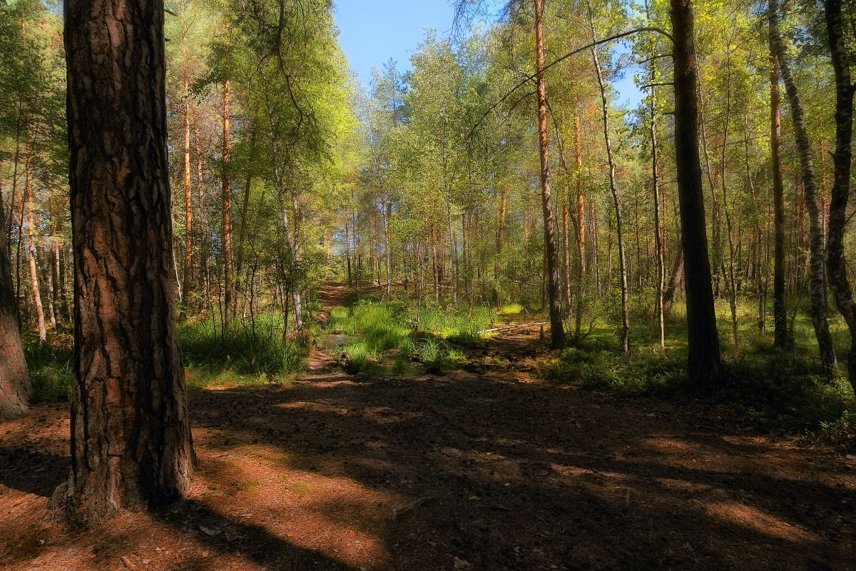 фото "***" метки: пейзаж, 