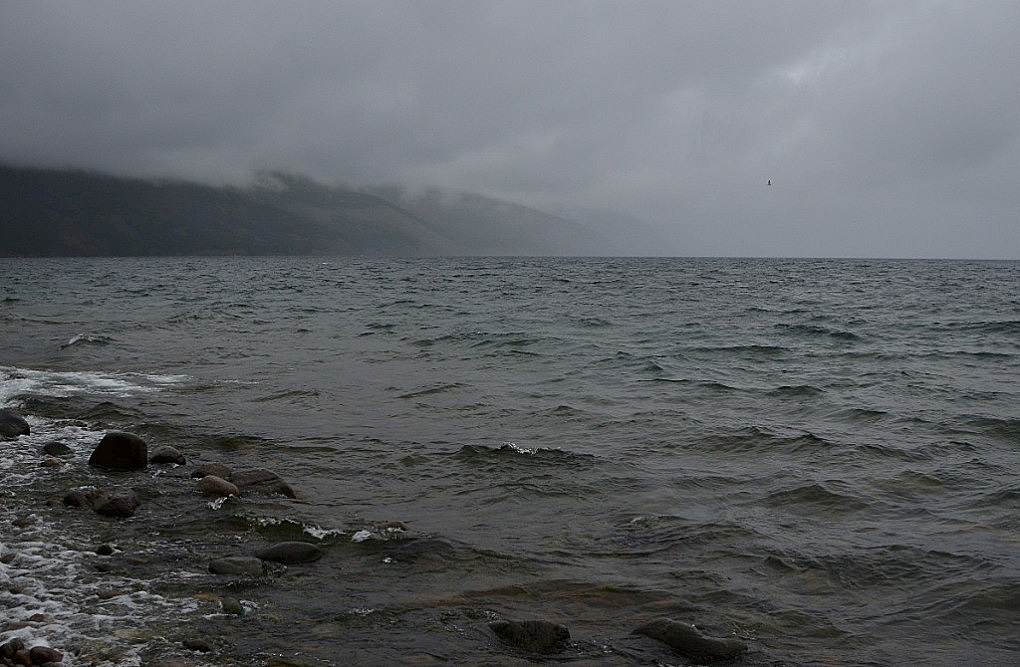 photo "***" tags: landscape, autumn, clouds, lake, september, water, Байкал, Байкал. осень, Северный Байкал, чайки