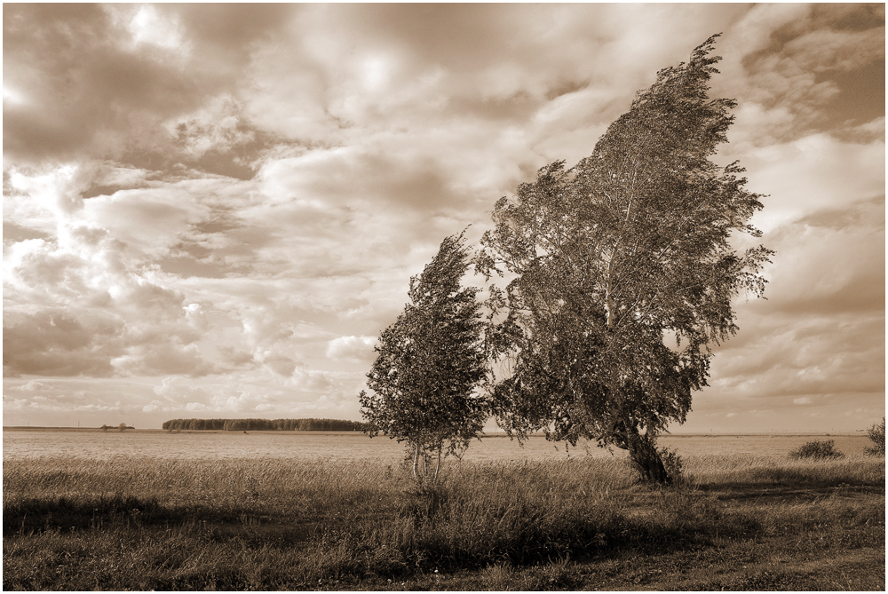 фото "Ветер с озера" метки: пейзаж, черно-белые, облака, осень